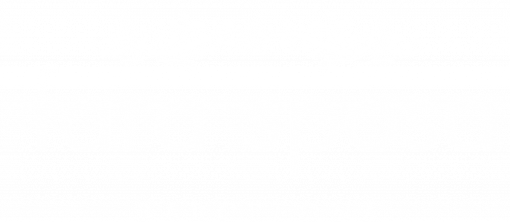 FARA SPOSA logo